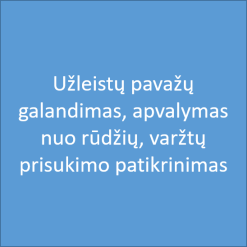 užleistų pačiūžų galand
